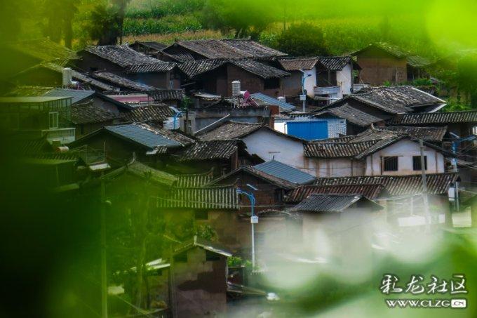 小猫钓鱼正版下载中文版