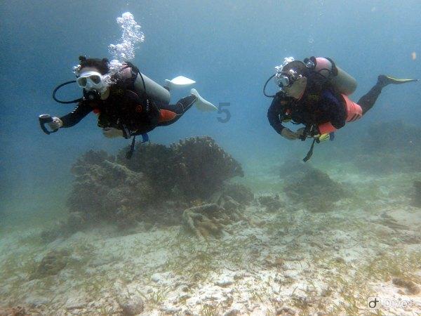 逃离神秘海底世界
